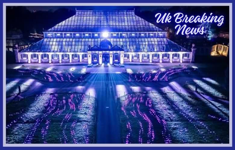 Kew Gardens Christmas Lights Ultimate Winter Experience Guide Kew Gardens Christmas Lights Ultimate Winter Experience Guide